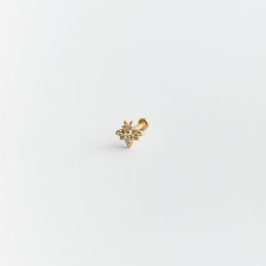 Piercing - POLISSON Piercing Huguette Paris 