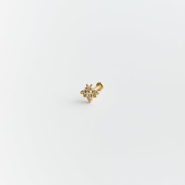 Piercing - POLISSON Piercing Huguette Paris 
