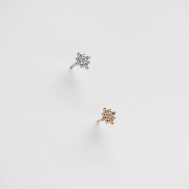 Single chip - ALBERTINE